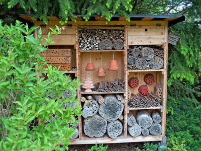 Insektenhotel selber bauen