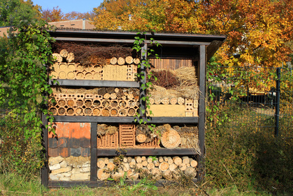 Gartenarche selber bauen