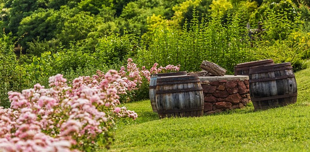 Gartendekorationen selbst gemacht