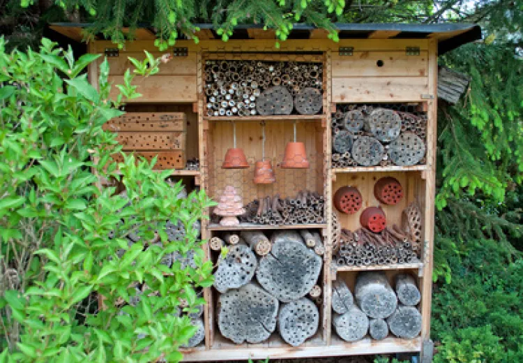 Insektenhotel selber bauen