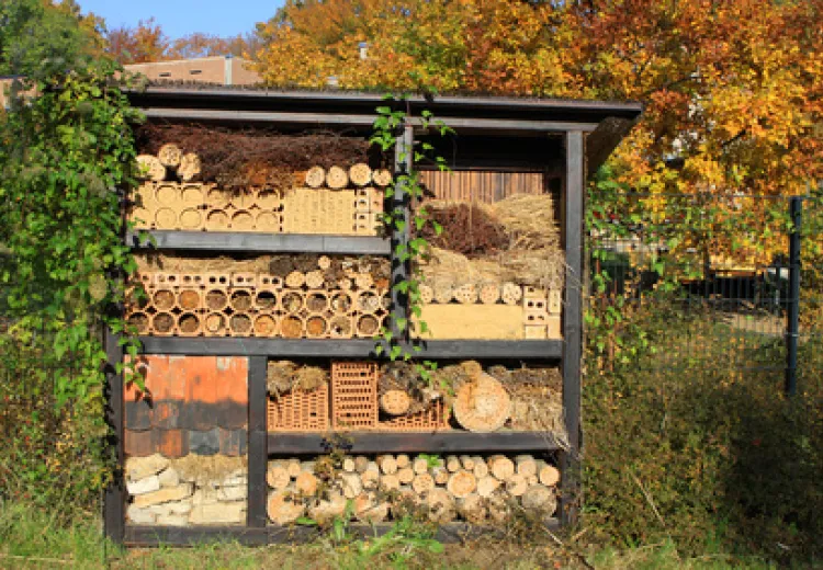 Gartenarche selber bauen